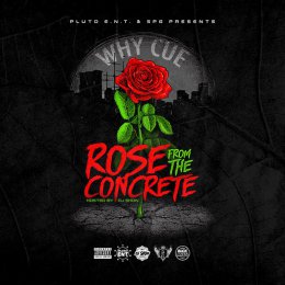 Why Cue - Rose From The Concrete